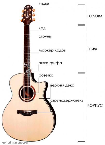 Интересные факты про акустическую гитару