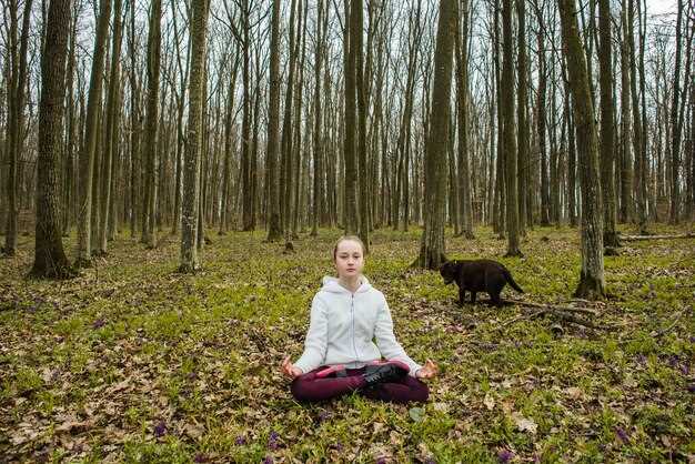 Как создать сочный сад дзен для релаксации и медитации
