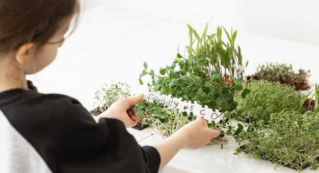 Как создать сочный террариум для миниатюрного сада.