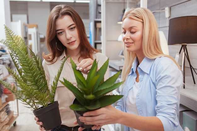 Как правильно выбрать растения для обустройства домашнего офиса