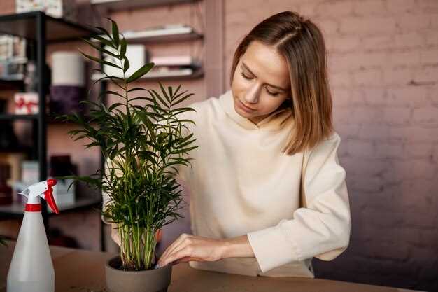 Пальма декоративная: идеальный зеленый акцент для рабочего места