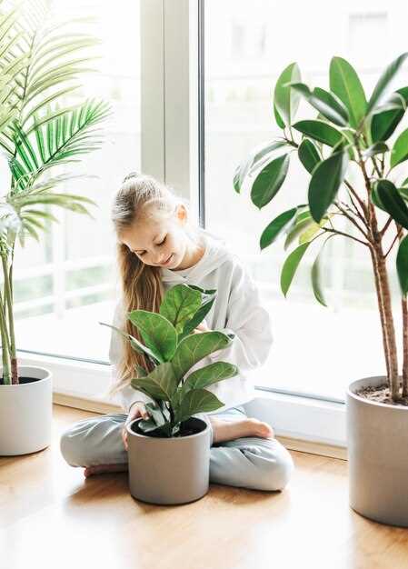 Растения, очищающие воздух и обогащающие его кислородом