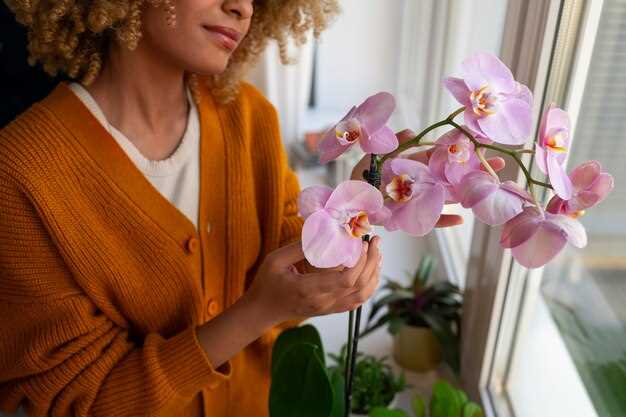 Советы по уходу за орхидеями в помещении